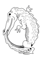 logo-crocodile-hd
